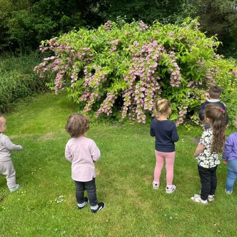 kinderopvang-janesbond-activiteit-bloementuin-3